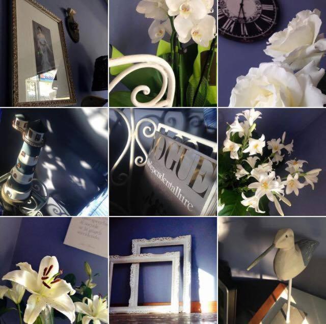 Hotel Solitude Riccione Dış mekan fotoğraf